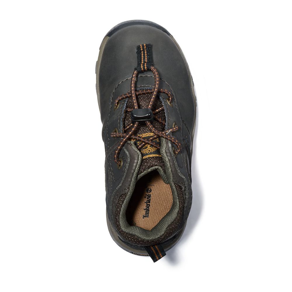 Botas de Caminhada Crianças - Timberland Toddler Mt. Maddsen Impermeavel - KLUBD0592 - Marrom